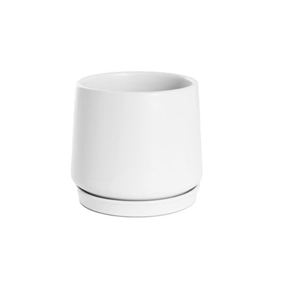Loreto Belly Pot & Plate