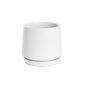 Loreto Belly Pot & Plate